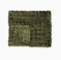 Fern Green