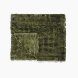 Fern Green